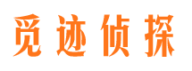 谢家集市侦探公司